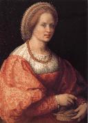 Andrea del Sarto Portrait of woman Holding basket oil painting